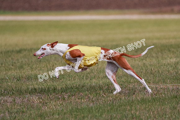 B Prelim Fch 3 Jadis Karma-7271