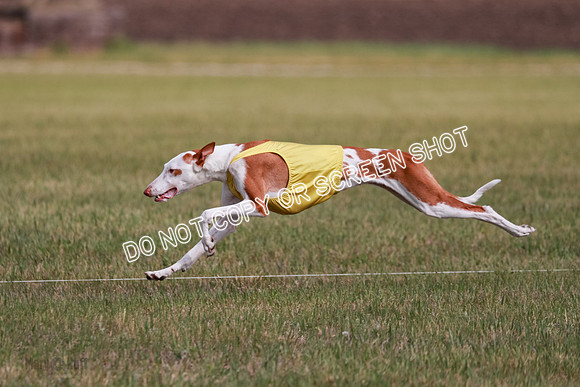 B Prelim Fch 3 Jadis Karma-7267