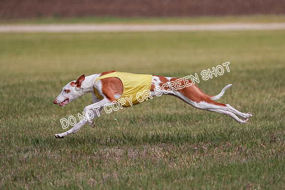 B Prelim Fch 3 Jadis Karma-7272