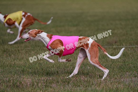 B Prelim Fch 3 Jadis Karma-7278