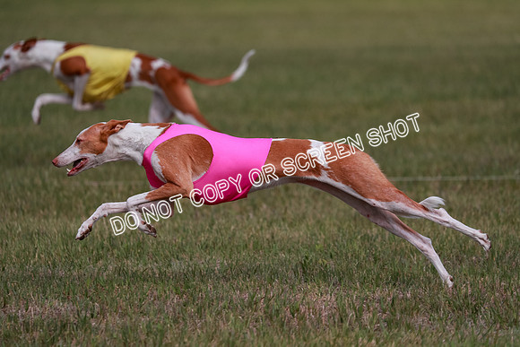 B Prelim Fch 3 Jadis Karma-7279