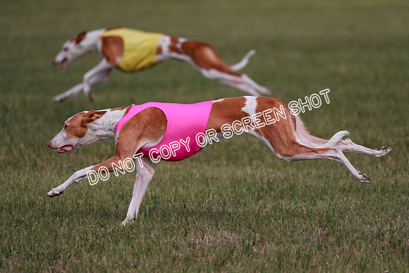 B Prelim Fch 3 Jadis Karma-7280