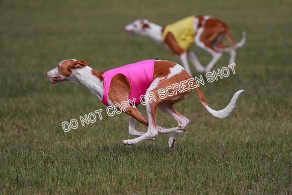 B Prelim Fch 3 Jadis Karma-7282