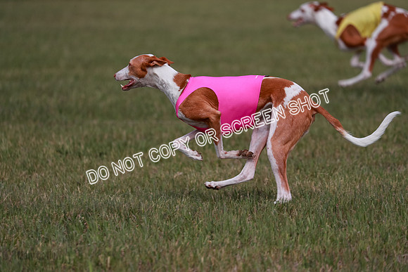B Prelim Fch 3 Jadis Karma-7283