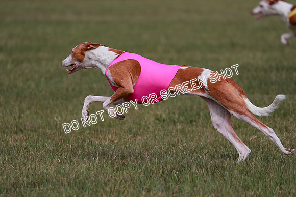 B Prelim Fch 3 Jadis Karma-7284