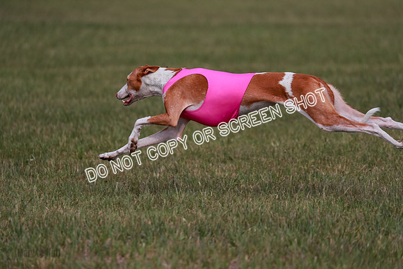 B Prelim Fch 3 Jadis Karma-7285