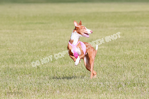 A Prelim Open 1 Magda Alta-7142