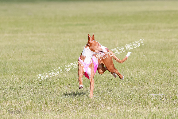 A Prelim Open 1 Magda Alta-7144