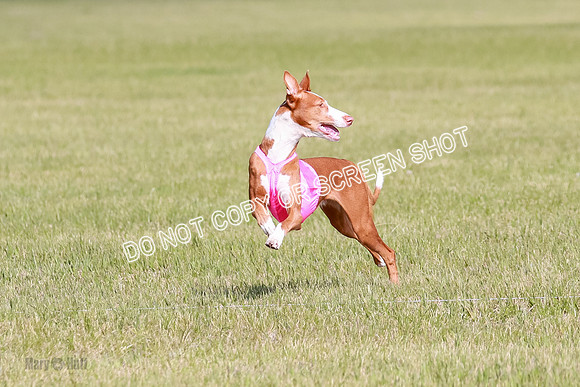 A Prelim Open 1 Magda Alta-7143
