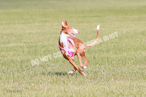 A Prelim Open 1 Magda Alta-7146