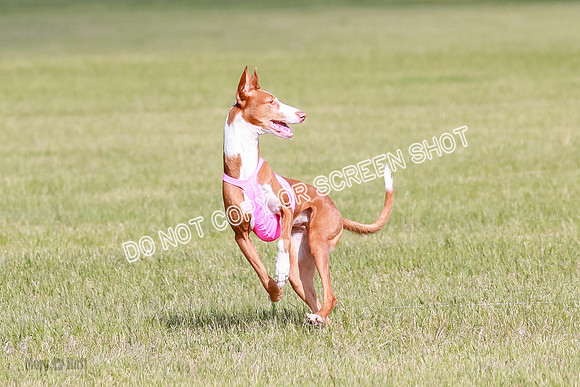 A Prelim Open 1 Magda Alta-7147