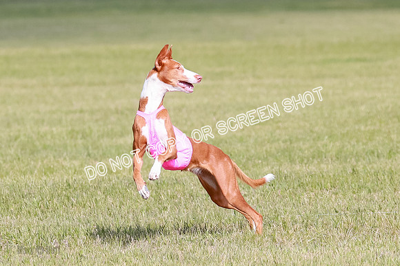 A Prelim Open 1 Magda Alta-7148