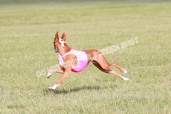 A Prelim Open 1 Magda Alta-7149