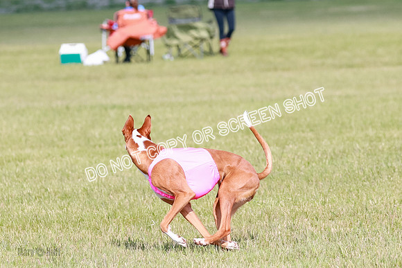A Prelim Open 1 Magda Alta-7152