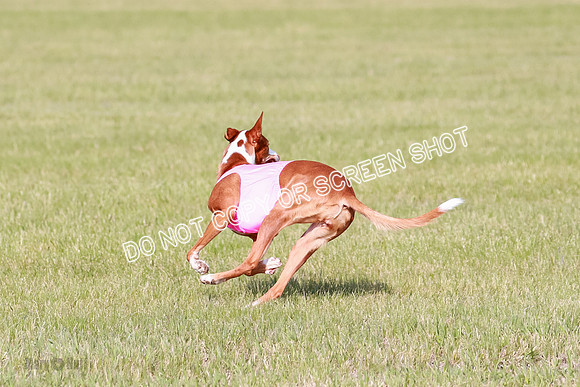 A Prelim Open 1 Magda Alta-7156