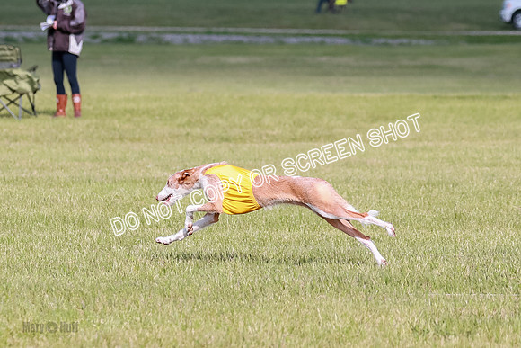 A Prelim Open 1 Magda Alta-7161