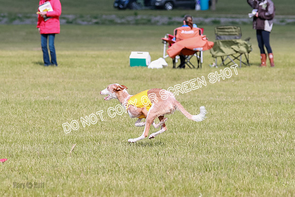 A Prelim Open 1 Magda Alta-7164
