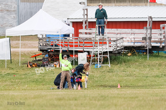 A Prelim Open-7373