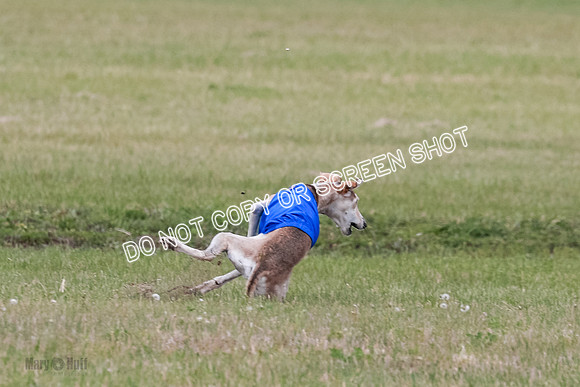 D Prelim Open-9302