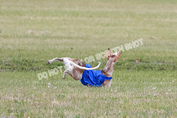 D Prelim Open-9304