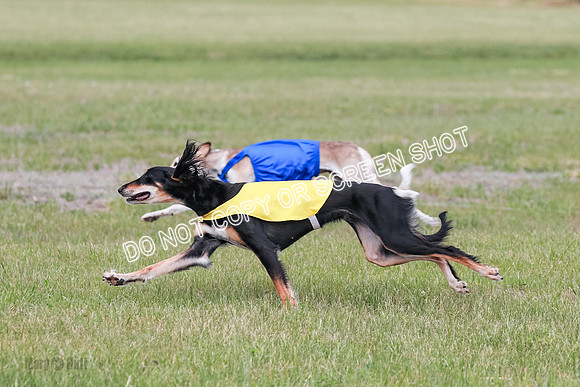 D Prelim Open-9323