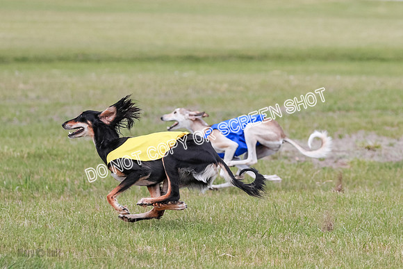 D Prelim Open-9325