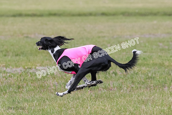 D Prelim Open-9328