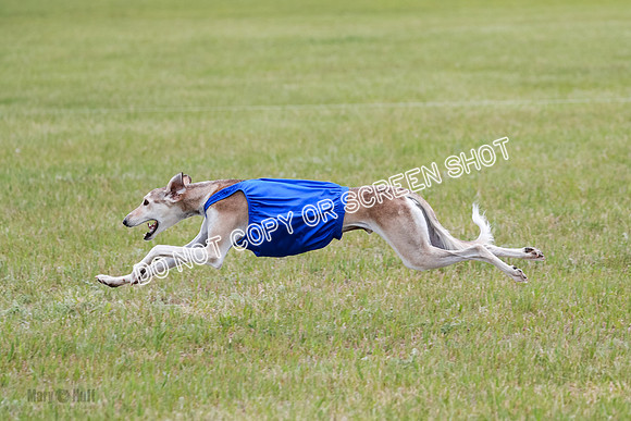 D Prelim Open-9349