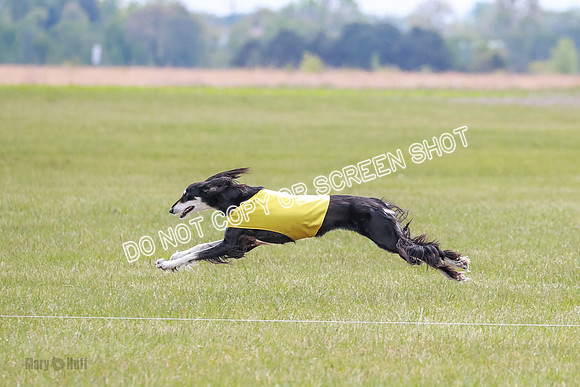 F Prelim Vet-9472