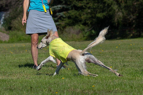 AE4I4181