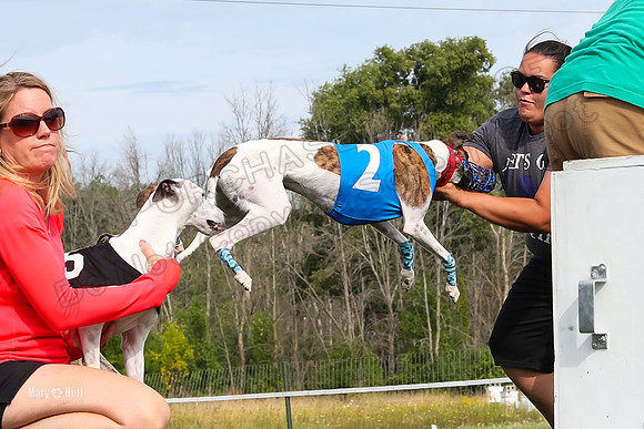 Program 1 Race 12, Amp Kraken Alex Pandy Raven-2957