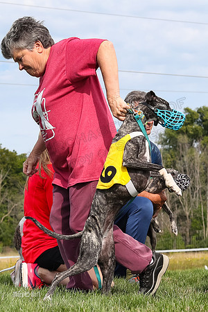 Program 1 Race 12, Amp Kraken Alex Pandy Raven-2969