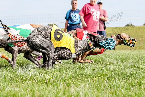 Program 1 Race 12, Amp Kraken Alex Pandy Raven-2982