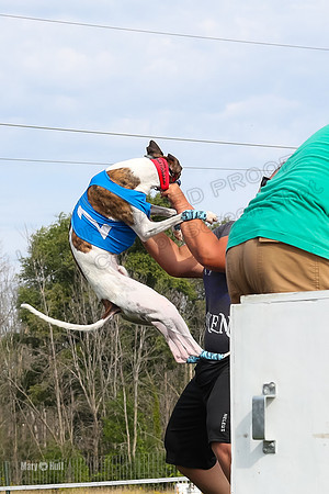 Program 1 Race 12, Amp Kraken Alex Pandy Raven-2954