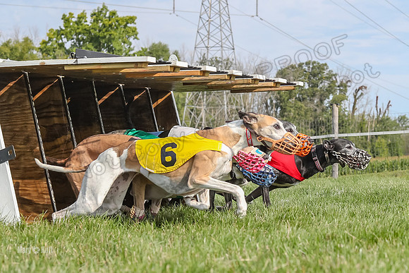 Program 1 Race 10, Bandit Valleri Bogie Booster Chip Digger-2897
