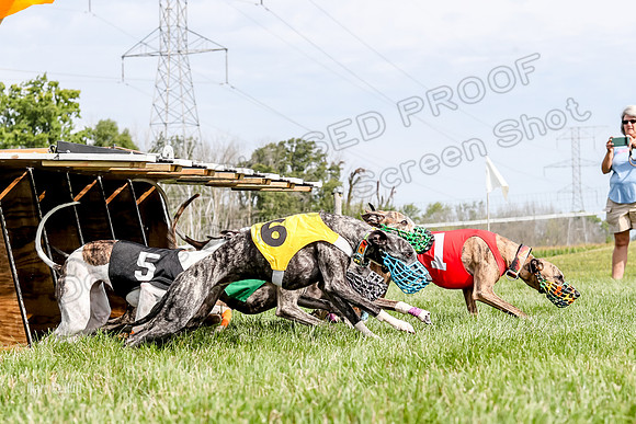 Program 1 Race 12, Amp Kraken Alex Pandy Raven-2978