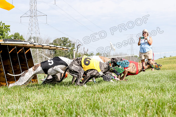 Program 1 Race 12, Amp Kraken Alex Pandy Raven-2979