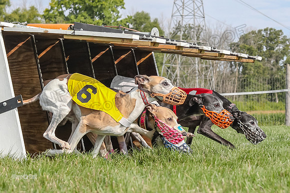 Program 1 Race 10, Bandit Valleri Bogie Booster Chip Digger-2896