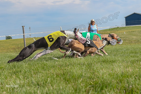 Program 1 Race 11, Babblez Bindi Cheers Finely Halima-2938