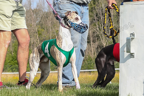Program 1 Race 10, Bandit Valleri Bogie Booster Chip Digger-2881