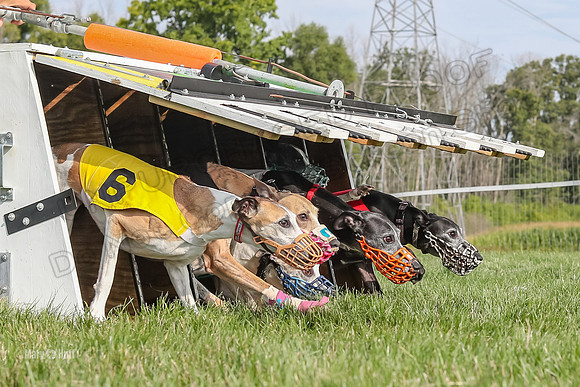 Program 1 Race 10, Bandit Valleri Bogie Booster Chip Digger-2895