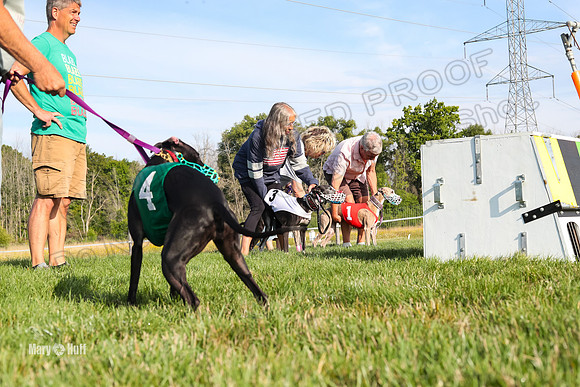 Program 1 Race 2, Tie-Dye WillowF Zen Joan Jett Bumble Eddie-2653