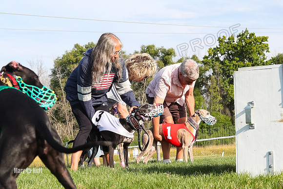 Program 1 Race 2, Tie-Dye WillowF Zen Joan Jett Bumble Eddie-2654
