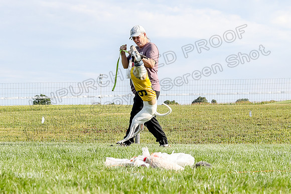 Program 1 Race 2, Tie-Dye WillowF Zen Joan Jett Bumble Eddie-2655