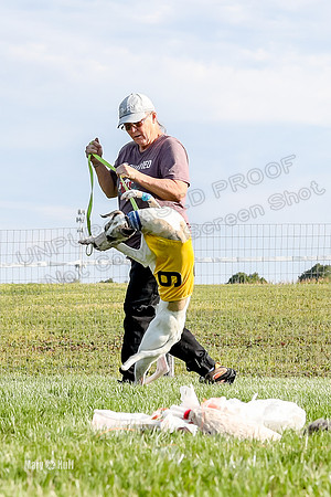 Program 1 Race 2, Tie-Dye WillowF Zen Joan Jett Bumble Eddie-2657