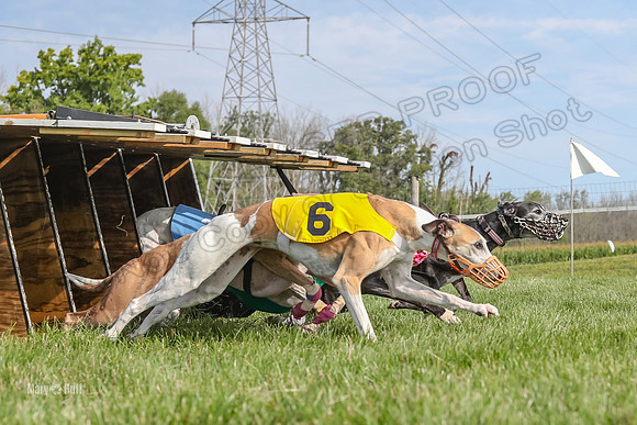 Program 1 Race 10, Bandit Valleri Bogie Booster Chip Digger-2898