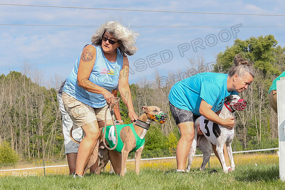 Program 1 Race 11, Babblez Bindi Cheers Finely Halima-2908