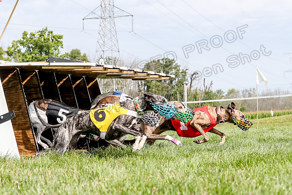 Program 1 Race 12, Amp Kraken Alex Pandy Raven-2977