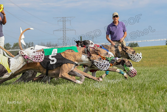 Program 1 Race 11, Babblez Bindi Cheers Finely Halima-2934