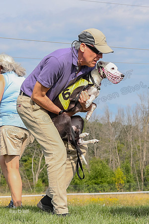 Program 1 Race 11, Babblez Bindi Cheers Finely Halima-2921